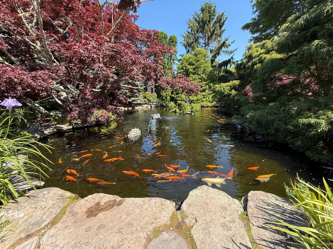 Pleasant Bay Village Resort主图