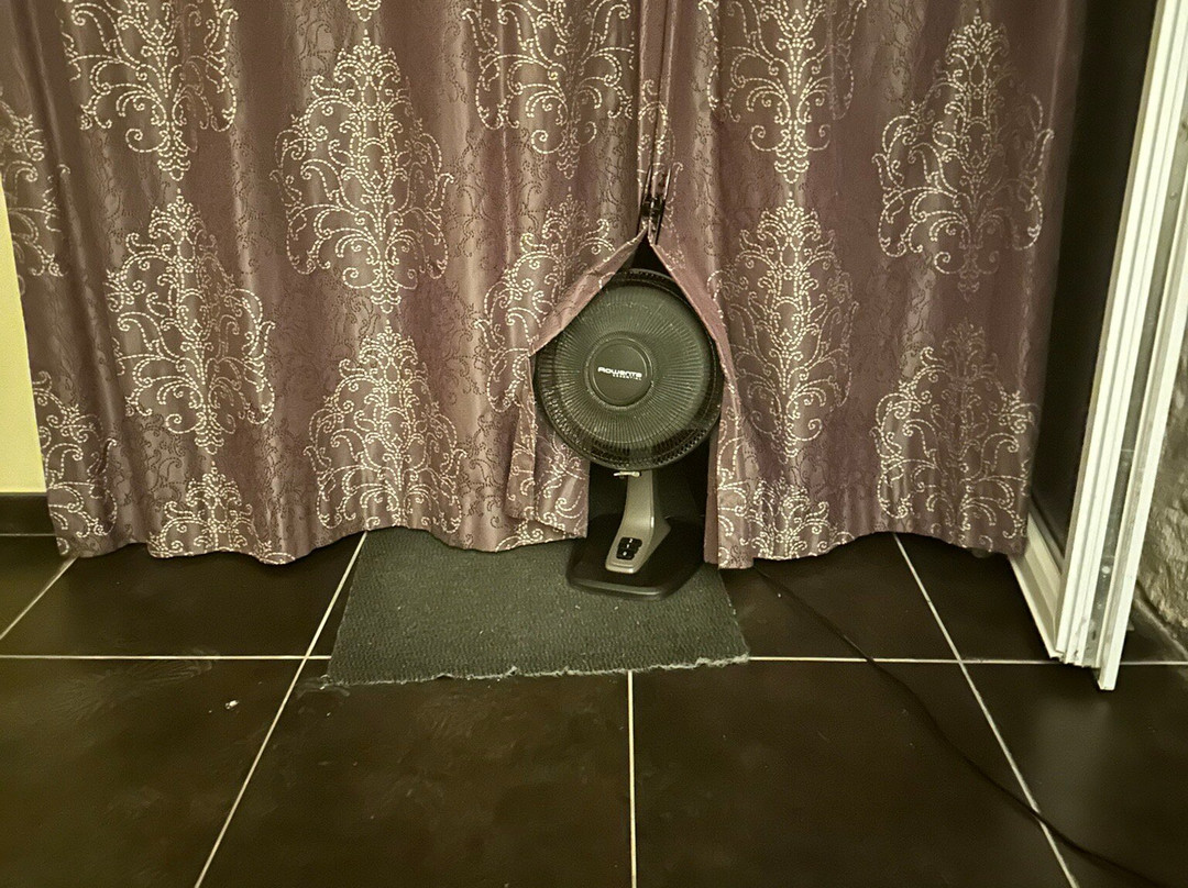 Bleu Raisin Saint Emilion主图