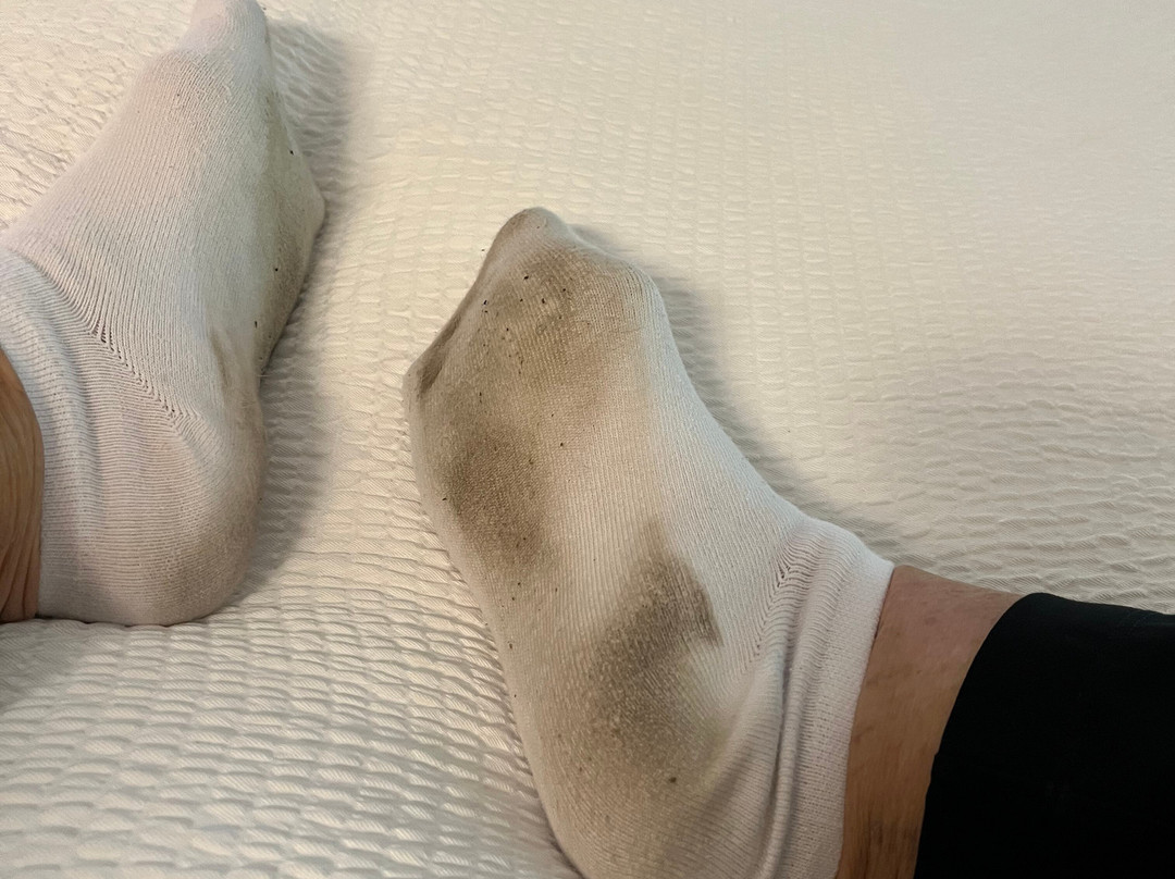 河城贝斯特韦斯特酒店主图