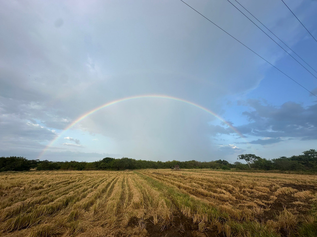 Star Rest Surf Camp主图