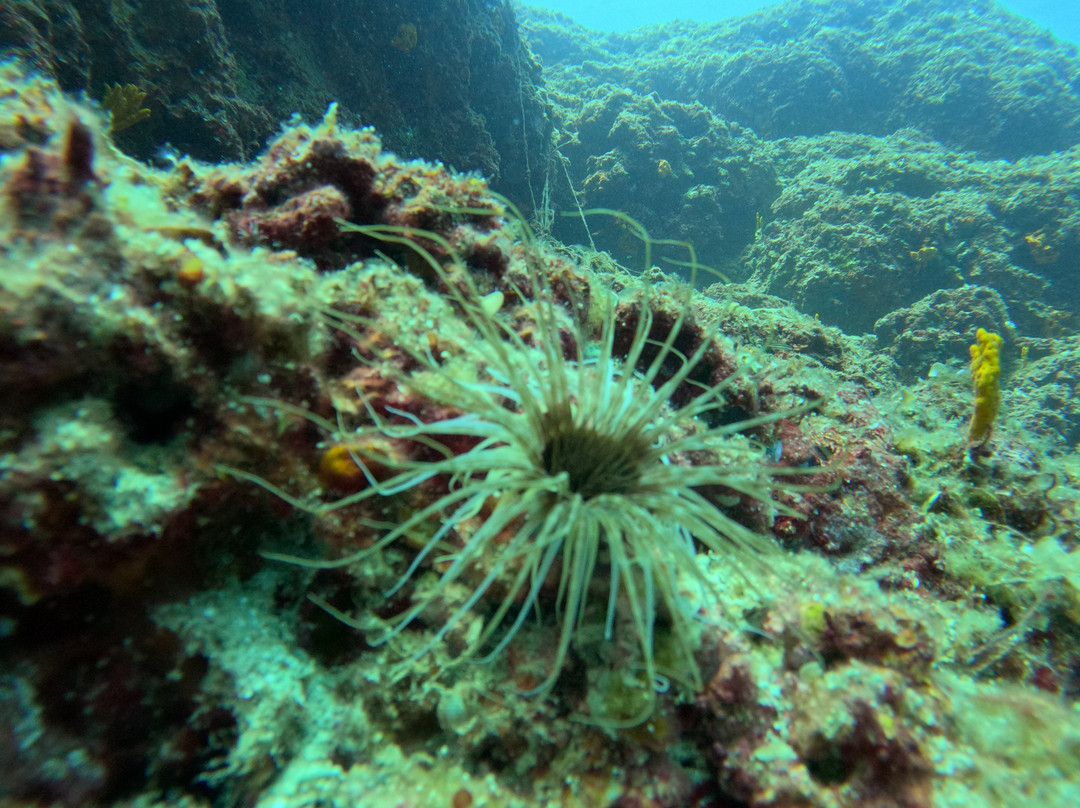 Extreme Divers-雅典必去景点