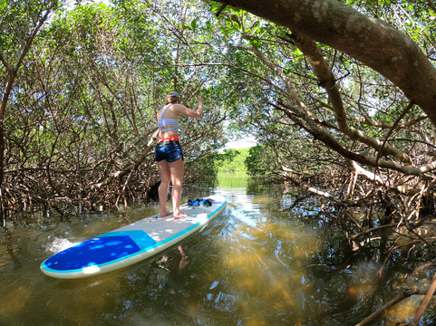 AMI Paddleboard-布雷登顿必去景点