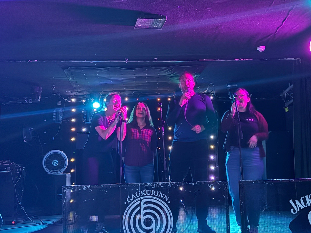 Gaukurinn-雷克雅未克必去景点