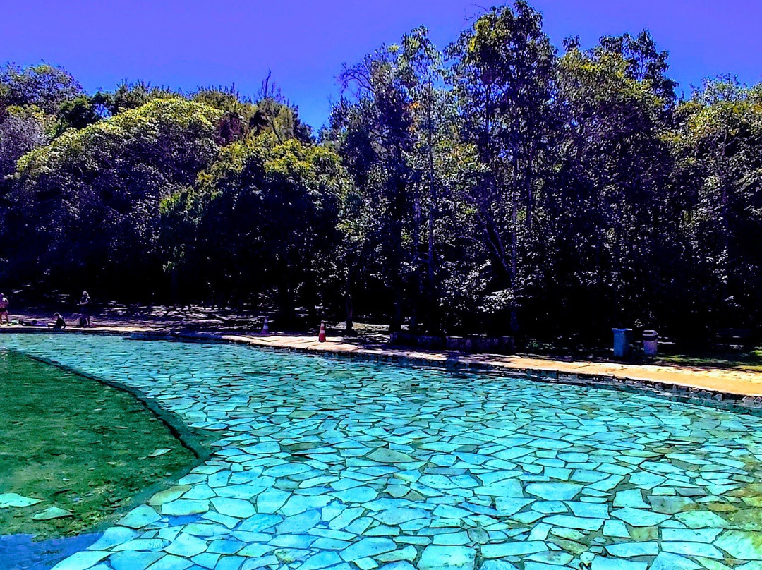 巴西利亚国家公园 (Agua Mineral)-巴西利亚必去景点