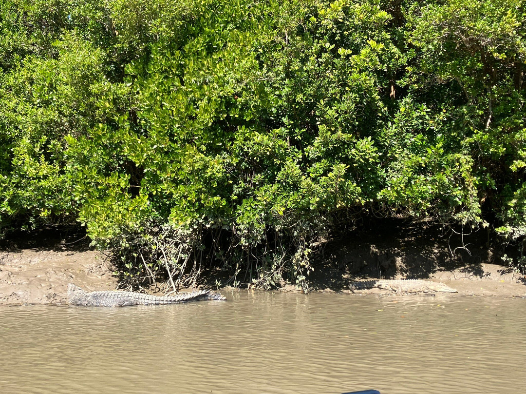 Crocodile Safari-Proserpine必去景点