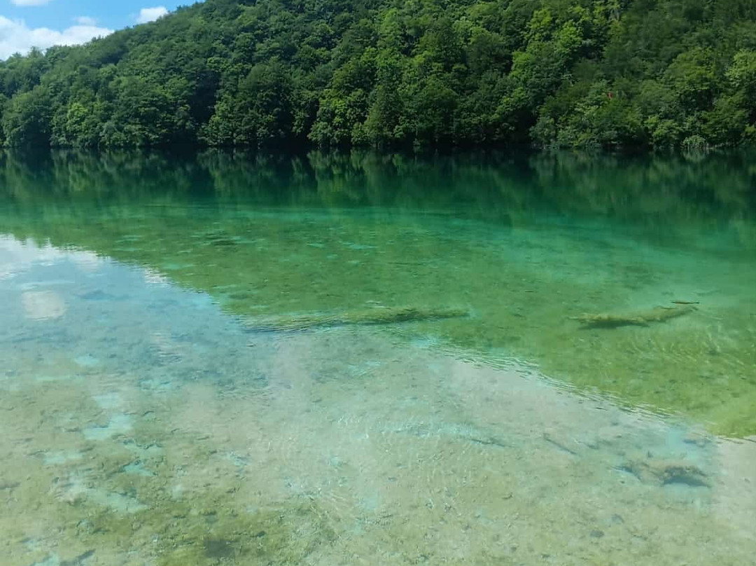 Plitvice Travel-十六湖必去景点