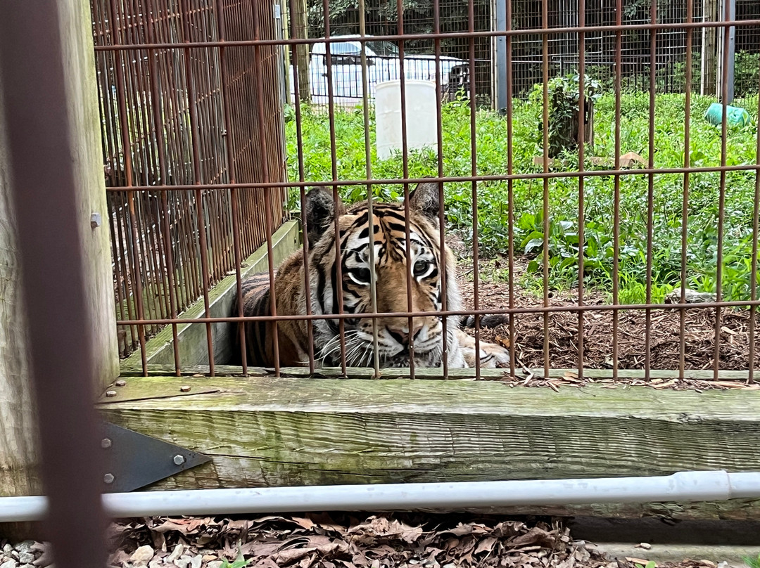Crown Ridge Tiger Sanctuary Lodging主图