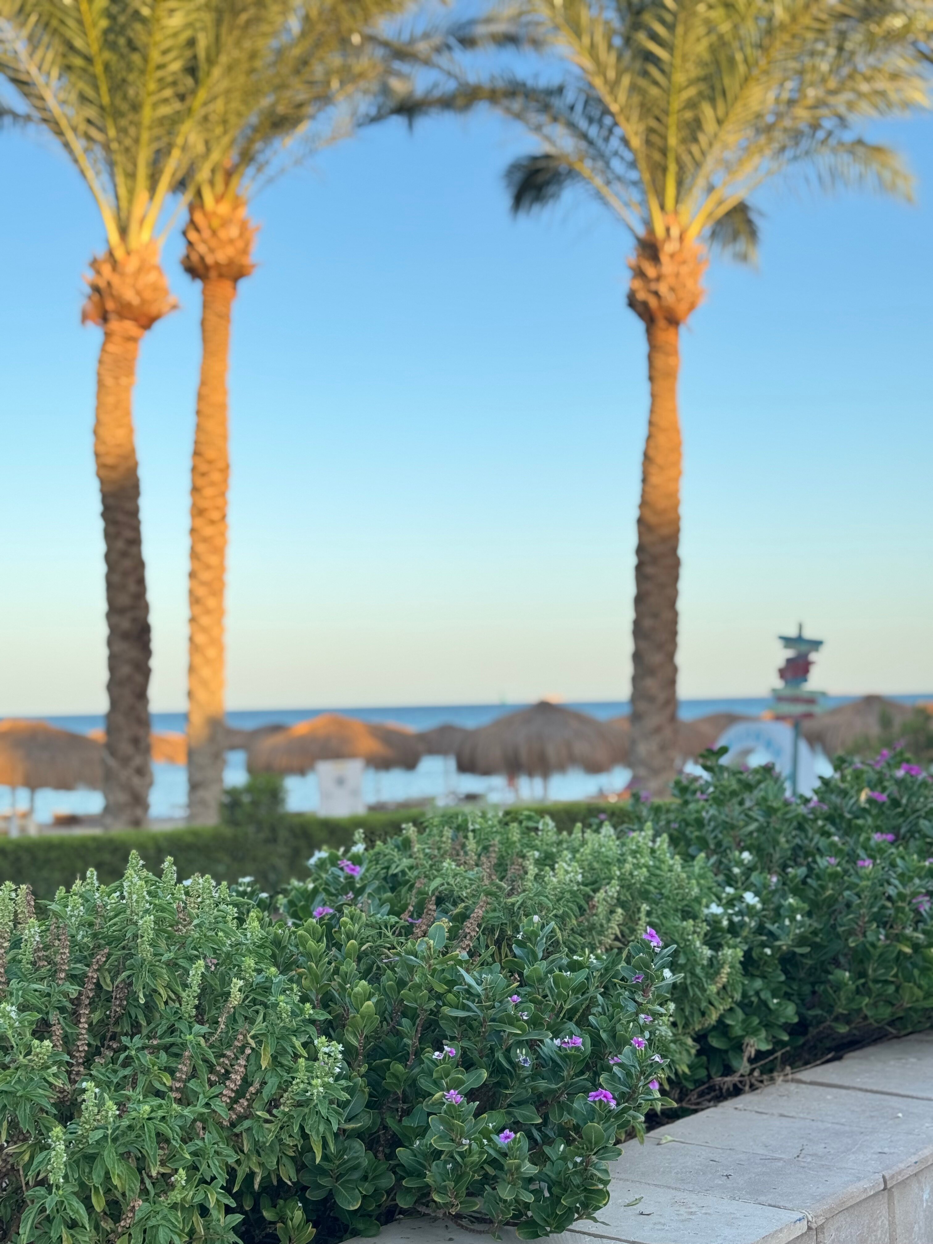Sentido Caribbean World Soma Bay-官方