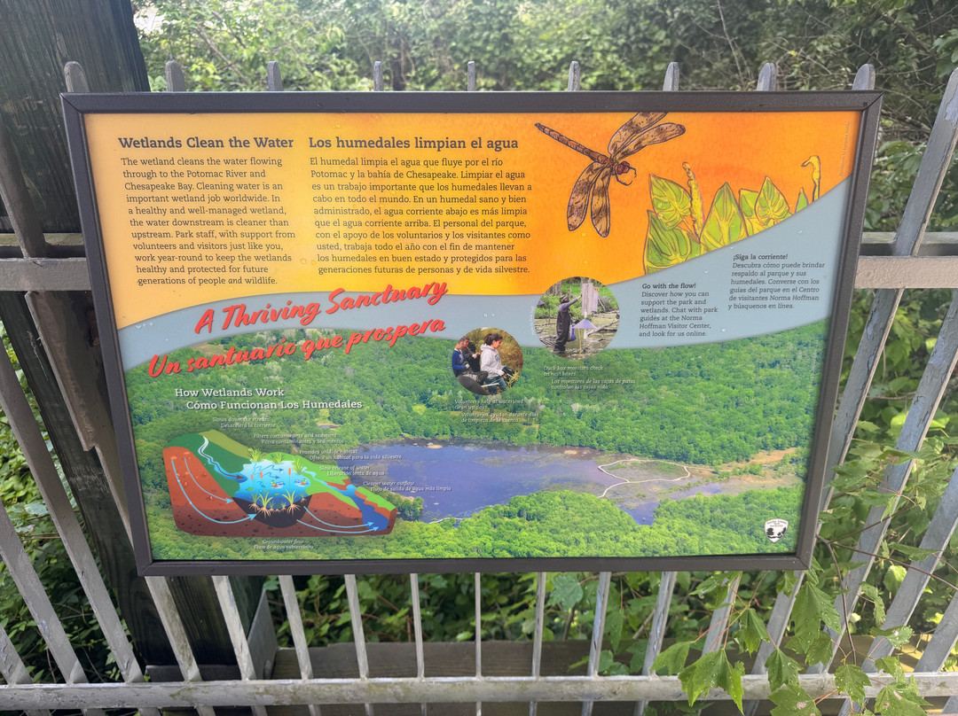 Huntley Meadows Park-亚历山德里亚必去景点