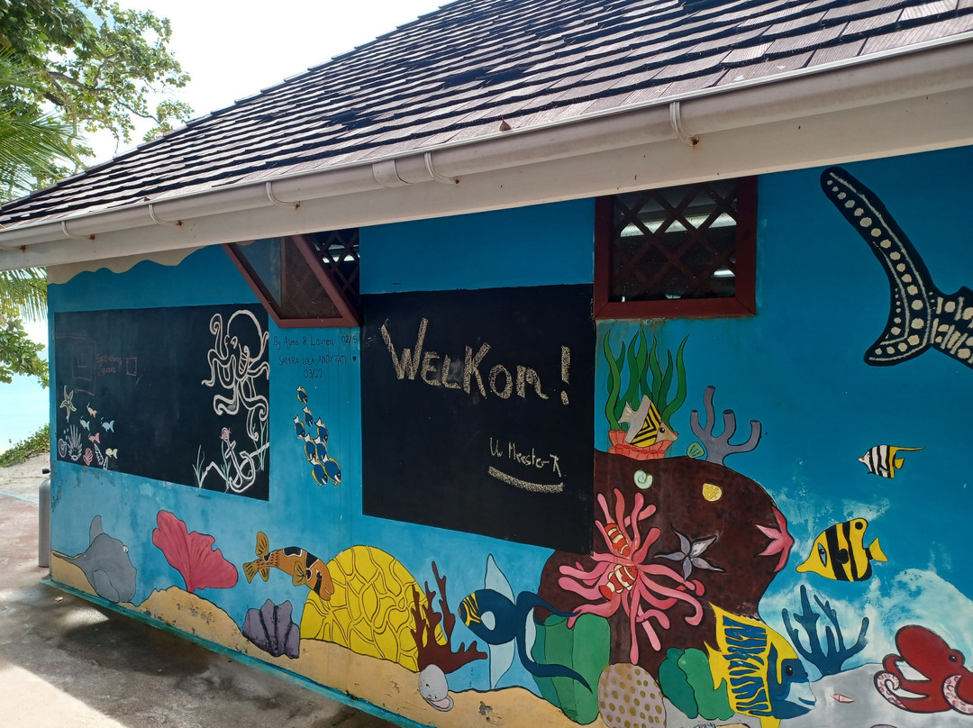 Dive Seychelles Underwater Centre-博瓦隆必去景点