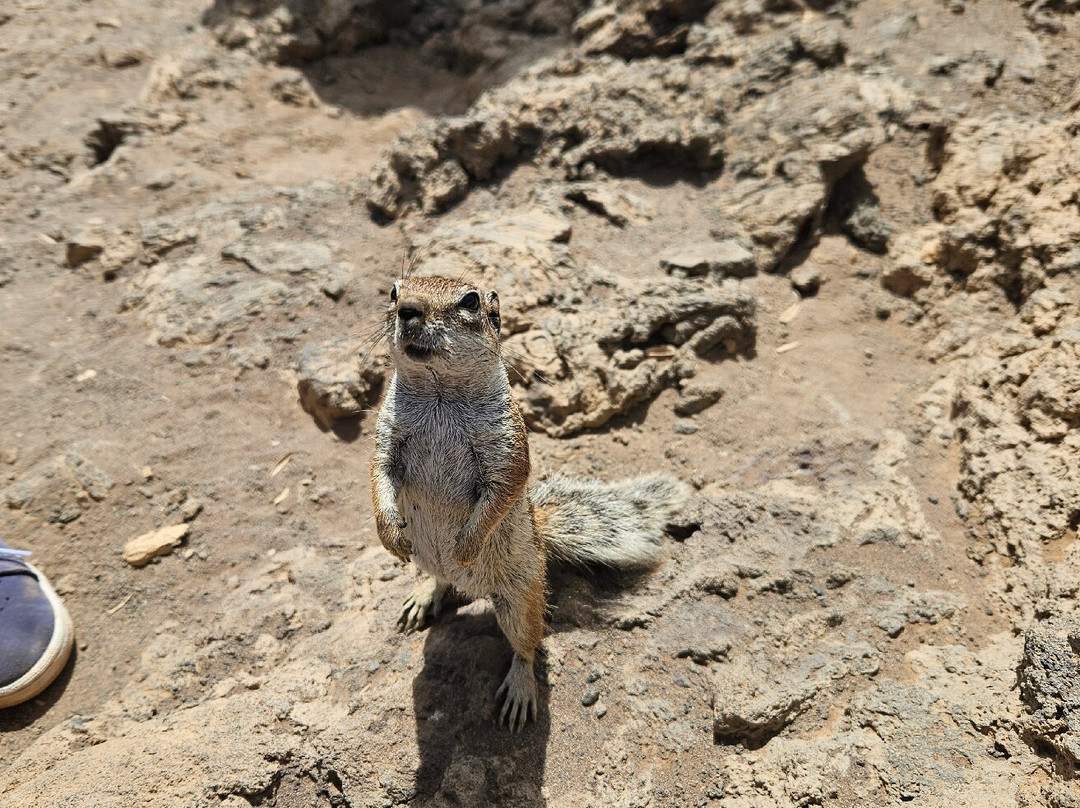 Calderon Hondo-拉哈雷斯必去景点