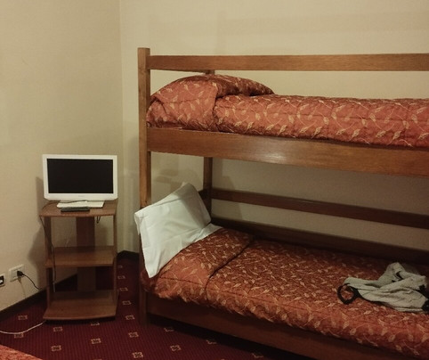 Hotel Des Alpes主图