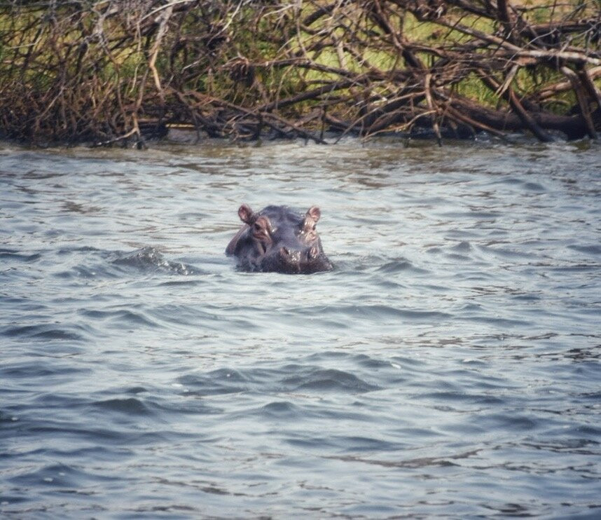 Judith Safaris-吉佳利必去景点