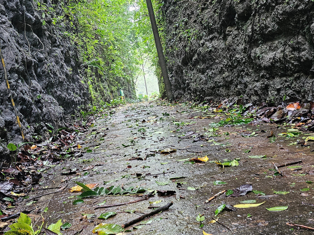 Rajah Sikatuna Protected Landscape-薄荷岛必去景点