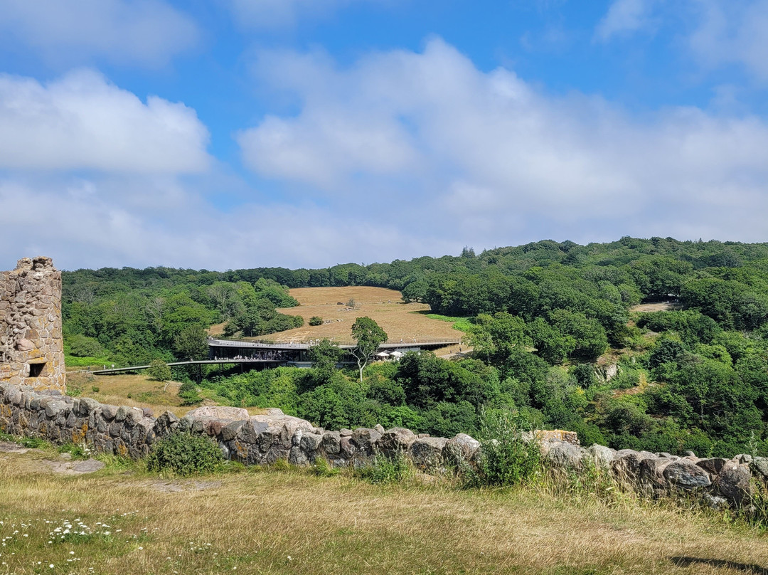 Hammershus Castle Ruins-阿灵厄必去景点