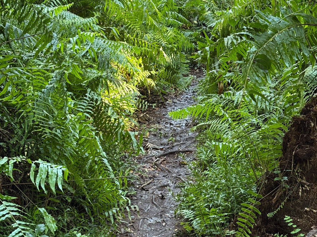 Kosi Bay Nature Reserve-Kosi Bay必去景点