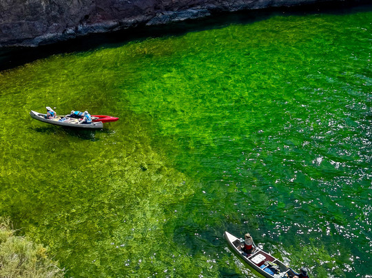 Desert River Outfitters-Bullhead City必去景点