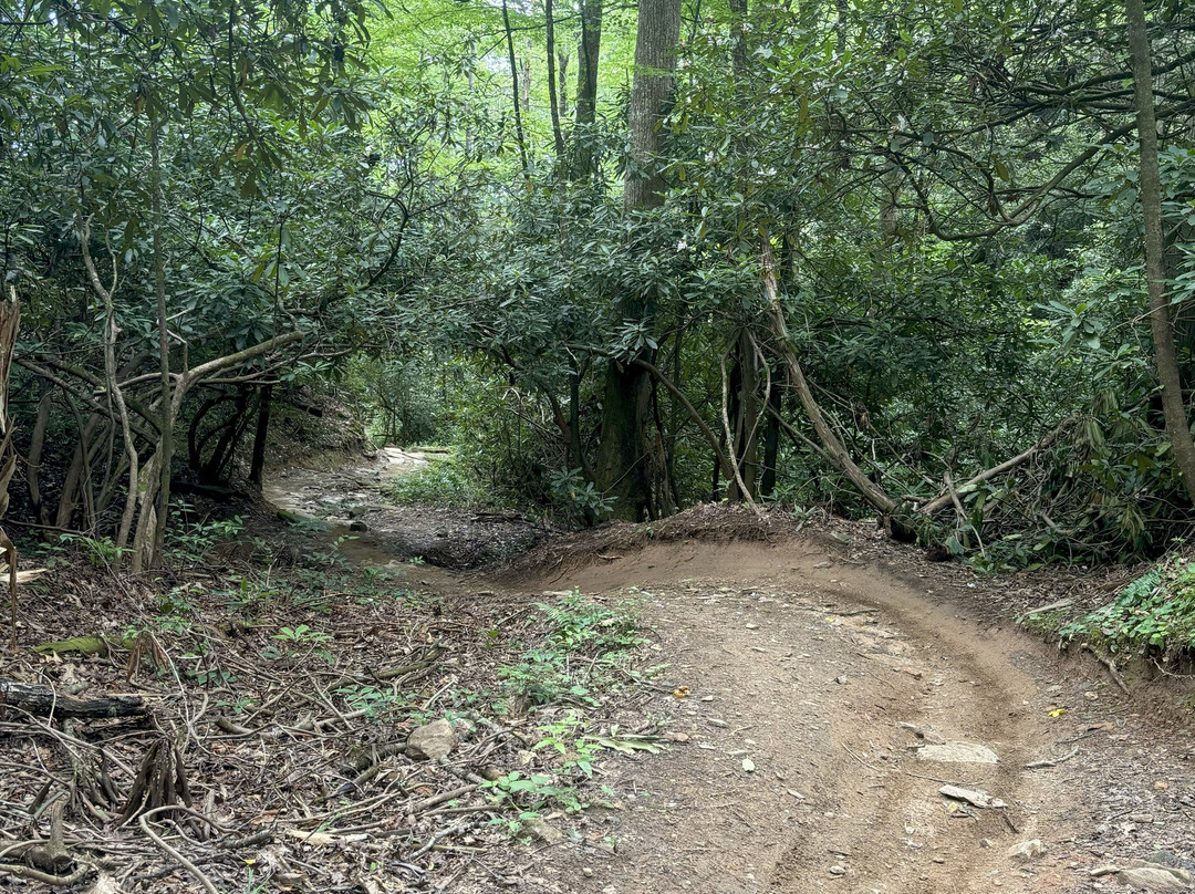 MTB Skills Factory-Pisgah Forest必去景点