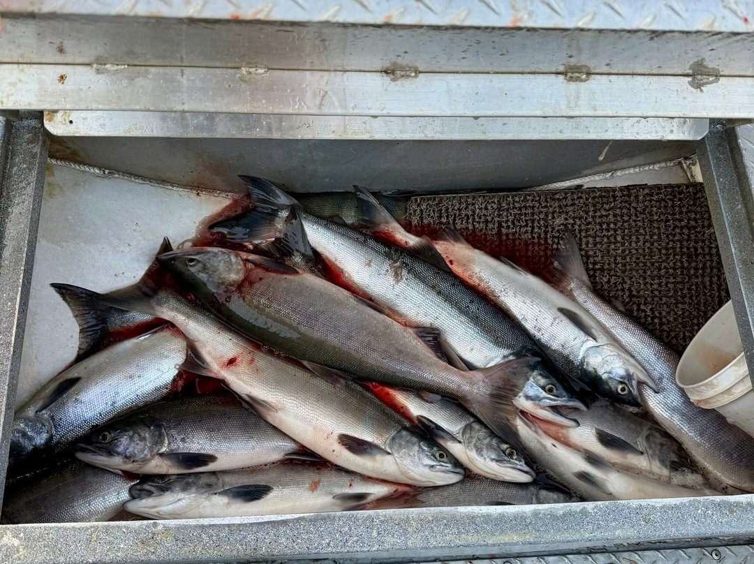 D's Fishing Company-基奈必去景点