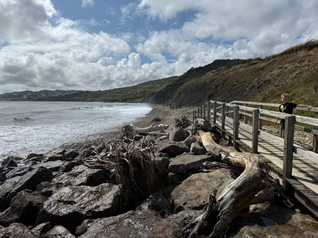 The Wobbly Fossiler-Charmouth必去景点