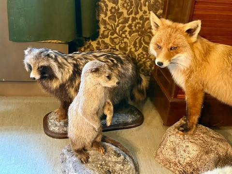 Malmgård-波尔沃必去景点