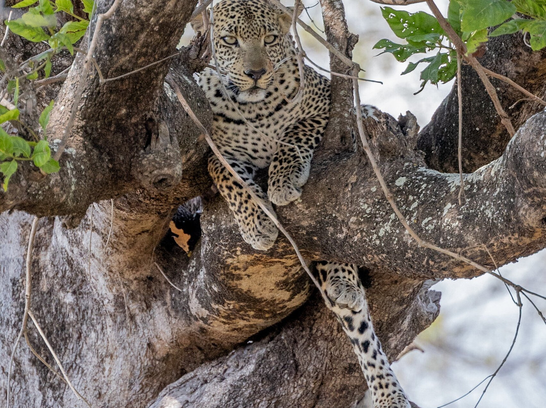 Mchaka Mchaka Tours-Mloka必去景点