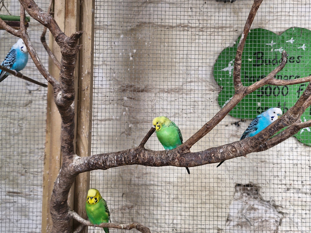 Wells House & Gardens-Gorey必去景点