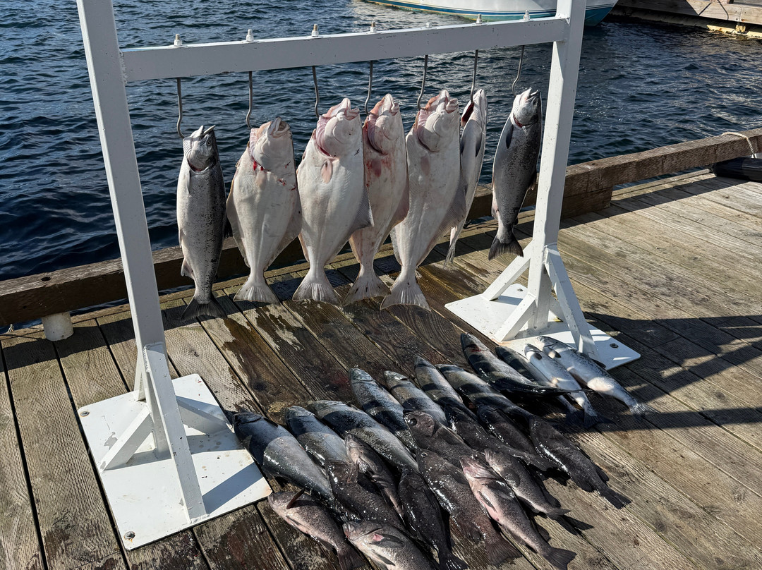 Salmon Falls Resort主图