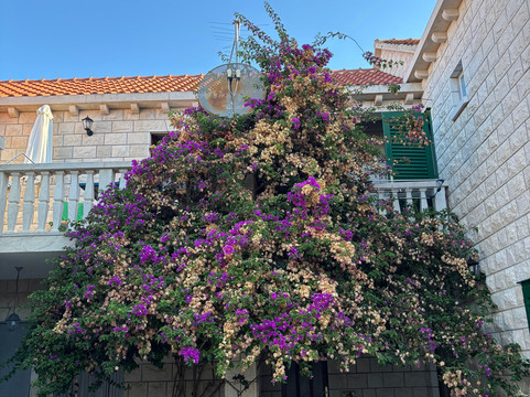 Anchor Croatia-斯普利特必去景点