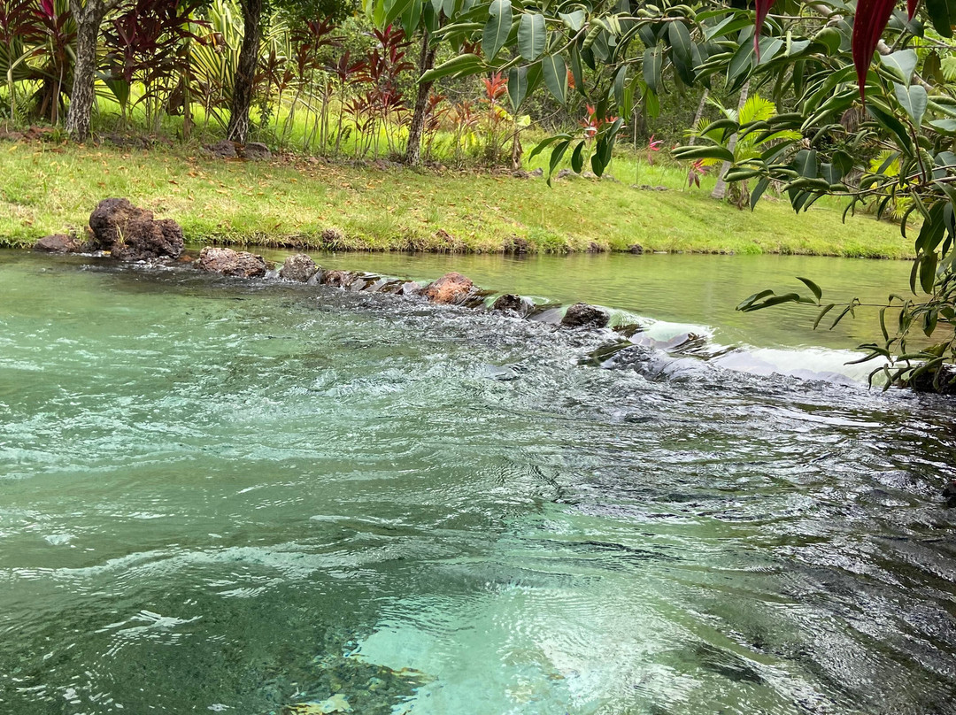 Tao Paradise-Pureza必去景点