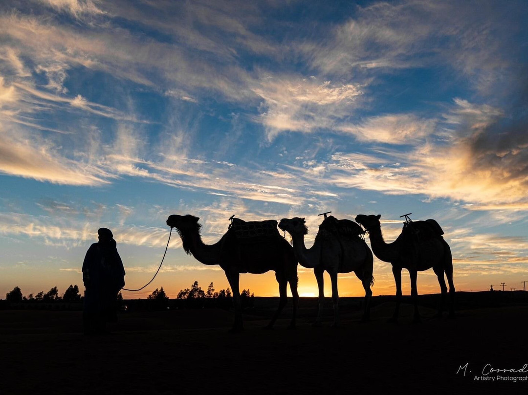 Camel Trek Tours Morocco-Erg Chebbi必去景点