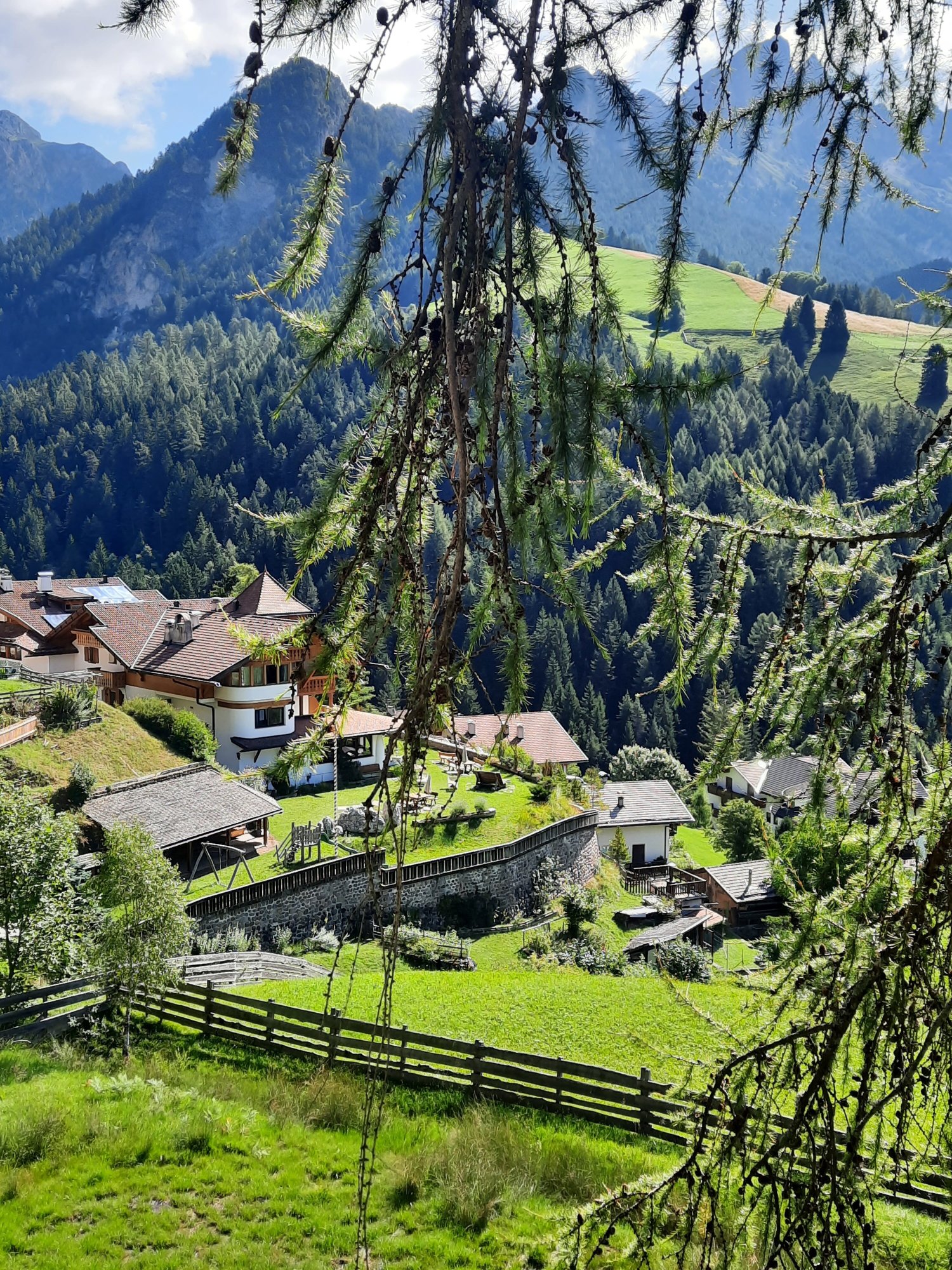 Alphotel Pension Panorama-官方