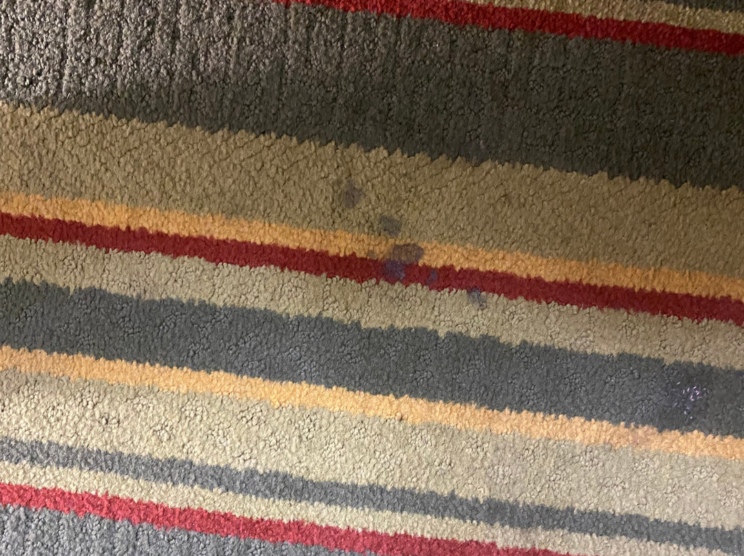 Super 8 by Wyndham Mt. Pleasant主图