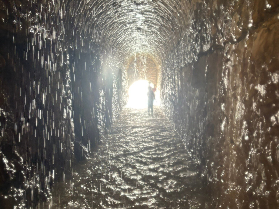 Stepping Mexico-墨西哥城必去景点