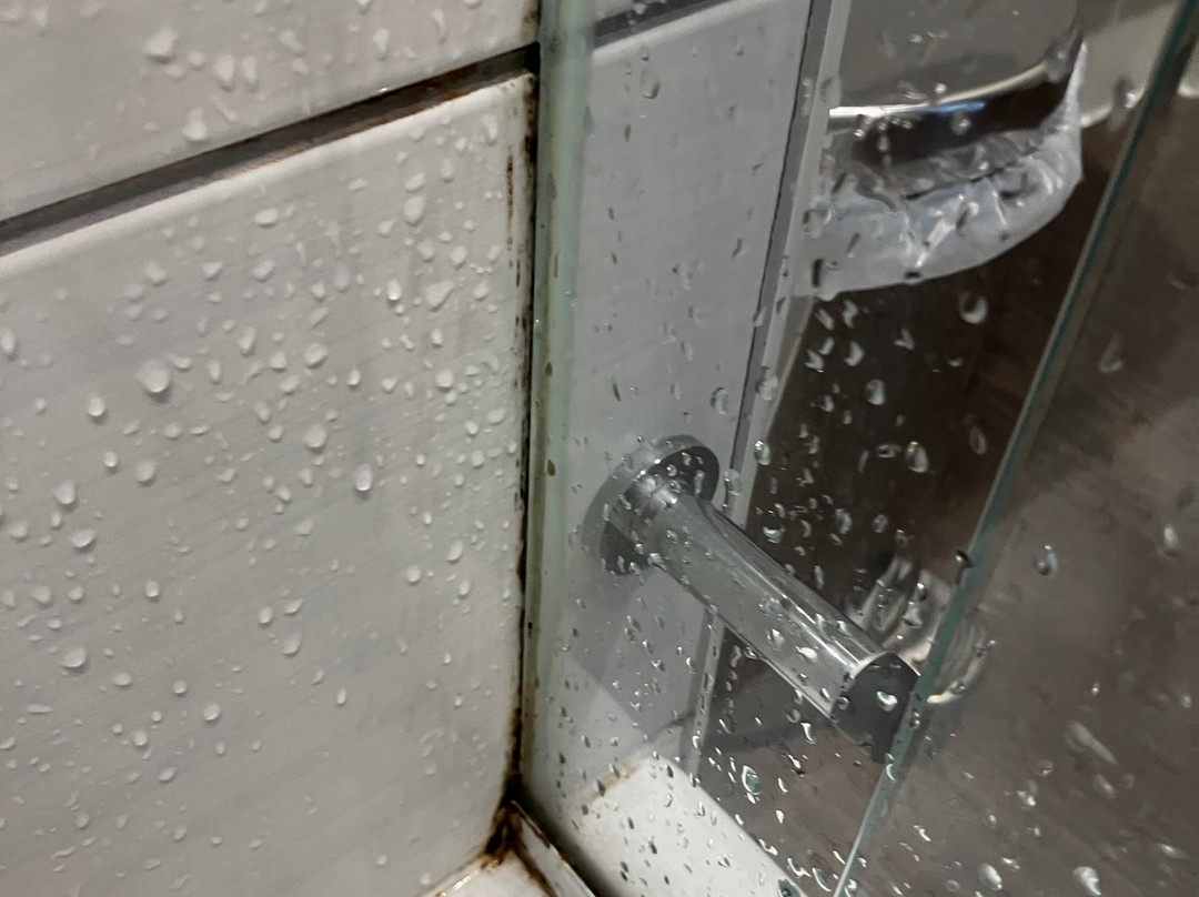 普瑞米尔哈利法克斯酒店主图