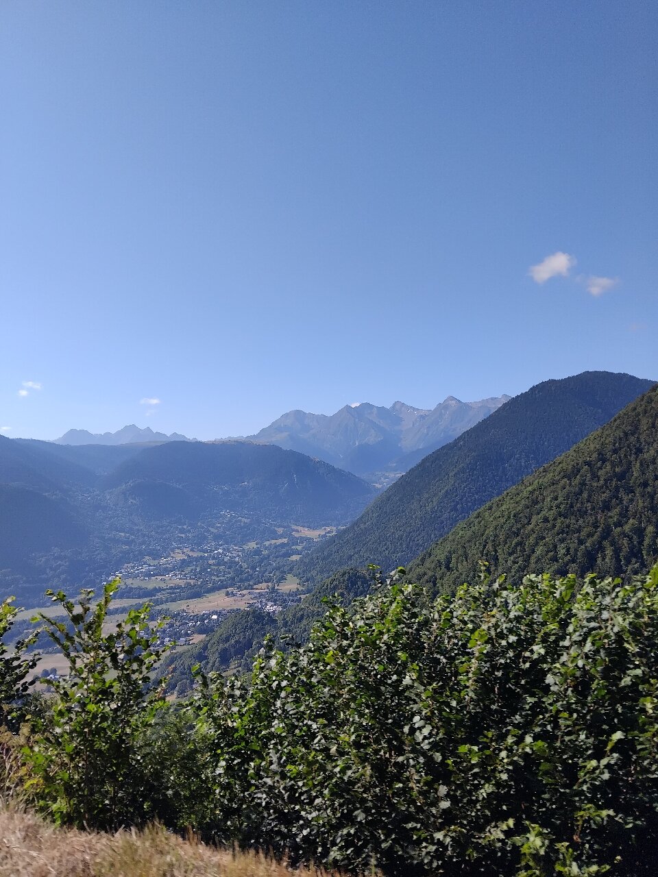 Hotel d'Angleterre-官方