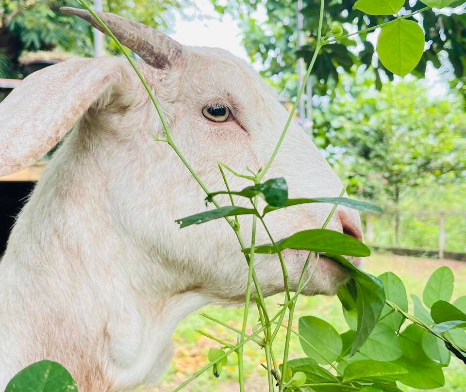 王同自然公园度假村主图