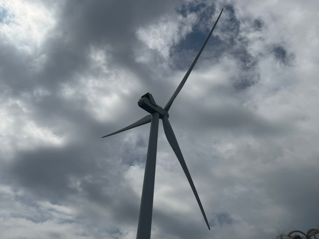 Sussex Boat Trips-Newhaven必去景点