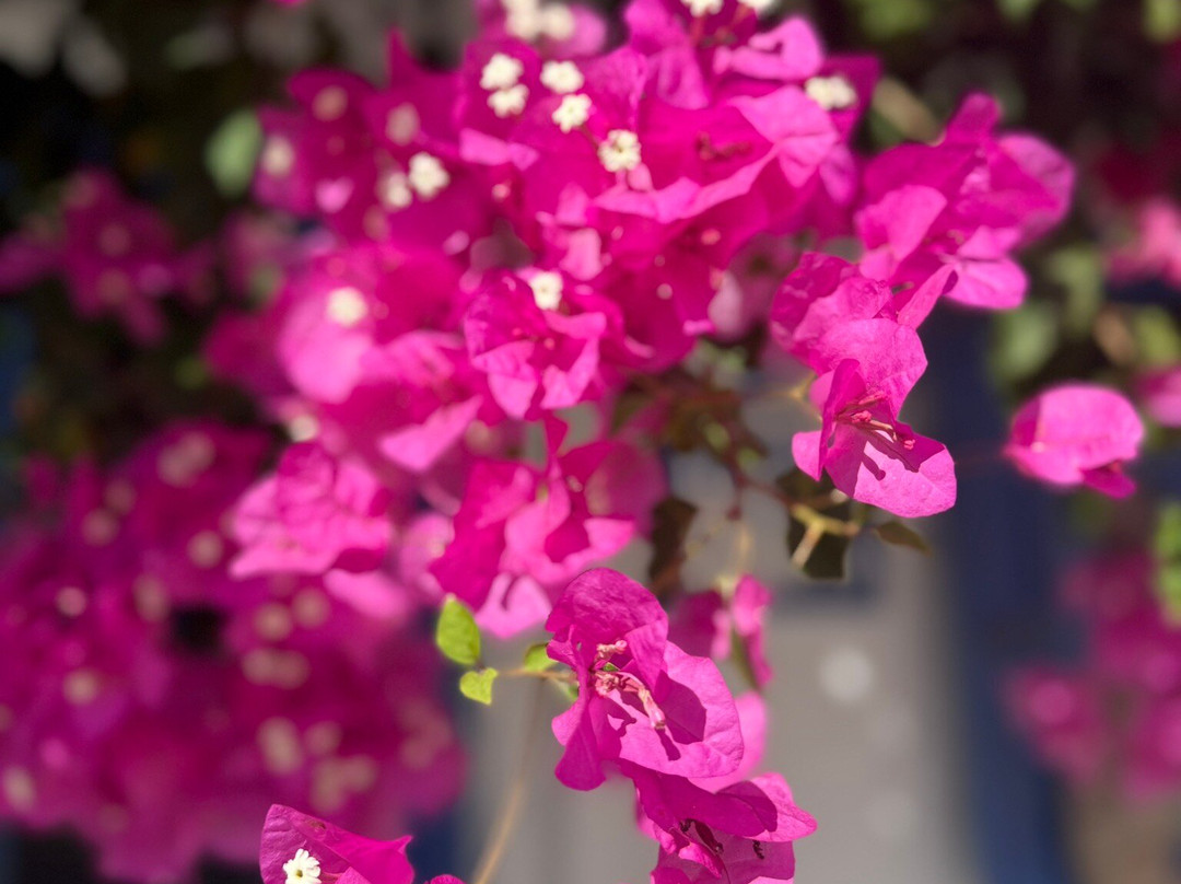 莫彻雷斯酒店主图