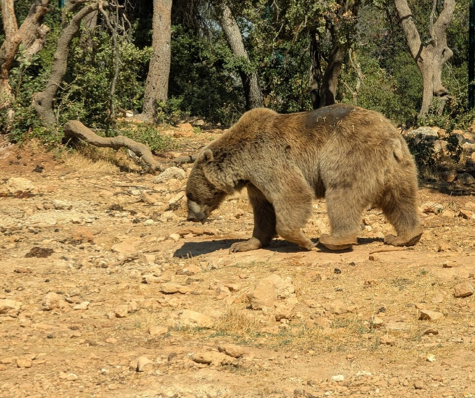 Al Ma'wa for Nature and Wildlife-杰拉什必去景点