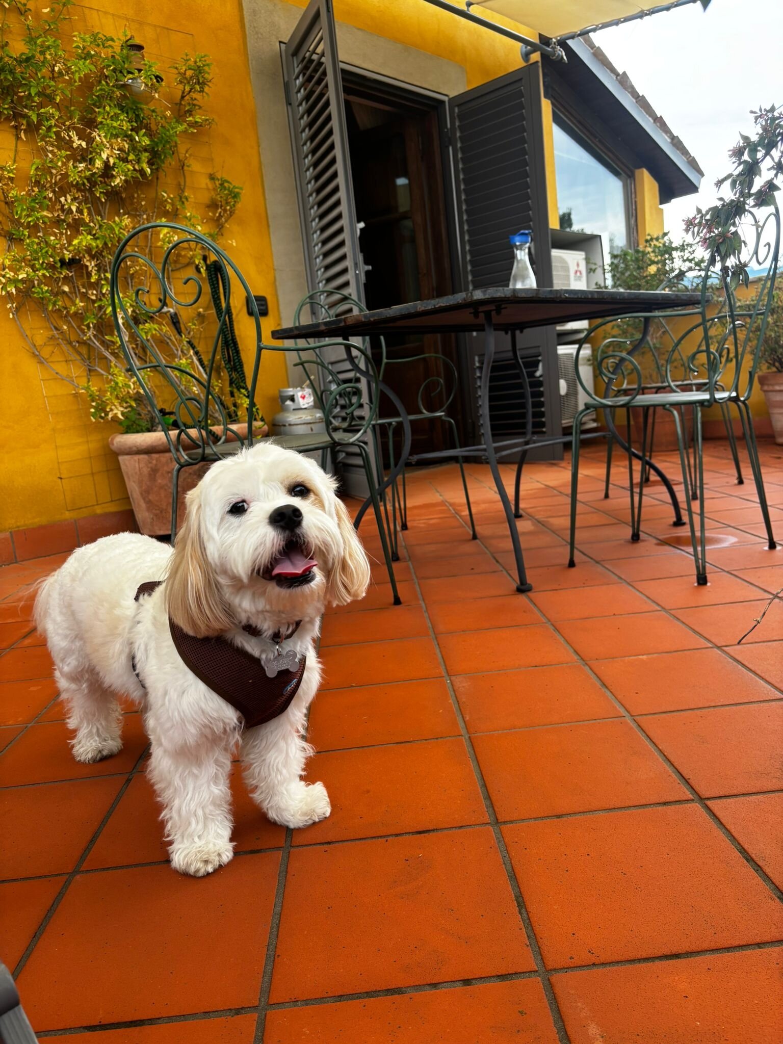 B&B Le Ninfee-官方