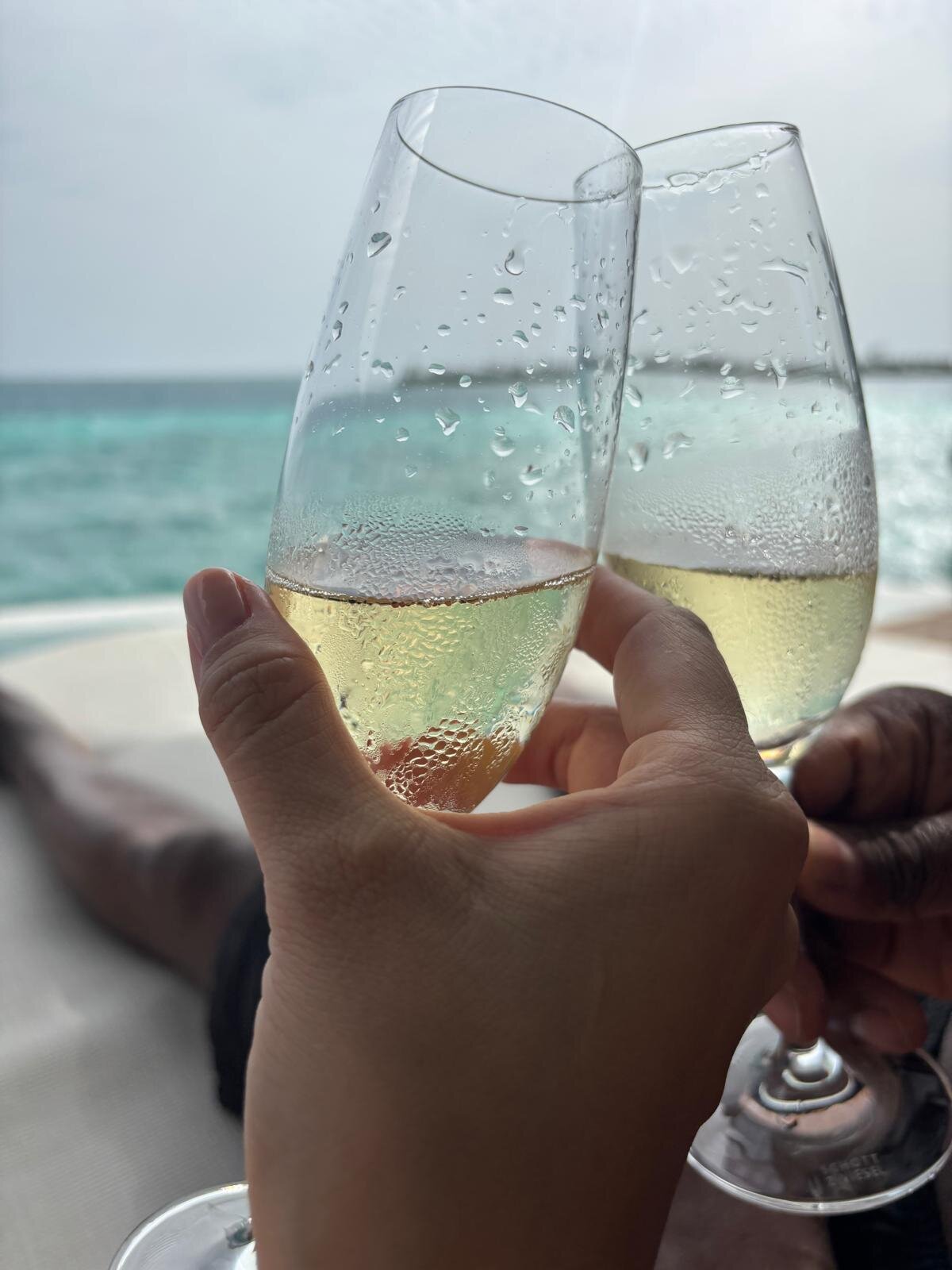 The Ritz-Carlton Maldives, Fari Islands-客卧