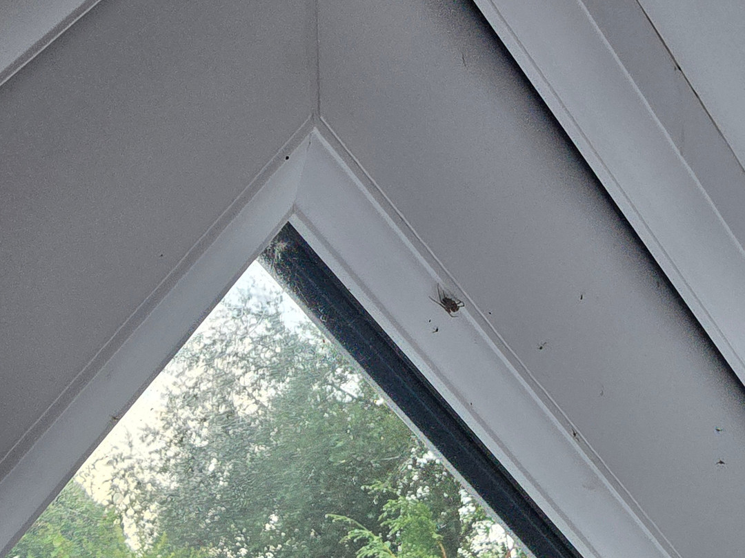 Tattershall Lakes Country Park主图