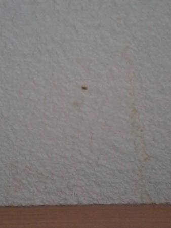 吉韦宜必思快捷酒店-官方