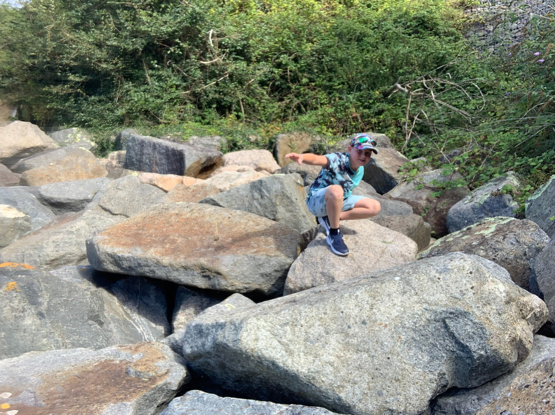 Anne Port Beach-Gorey必去景点