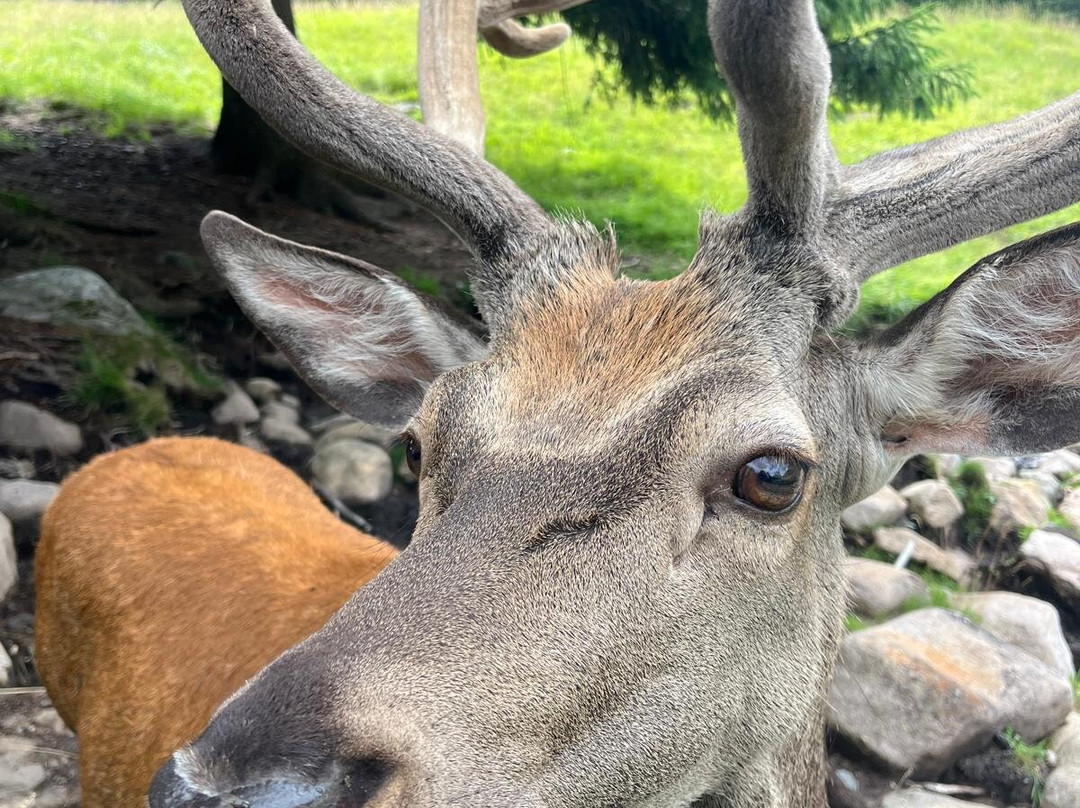 Centro visitatori di Paneveggio-Paneveggio必去景点