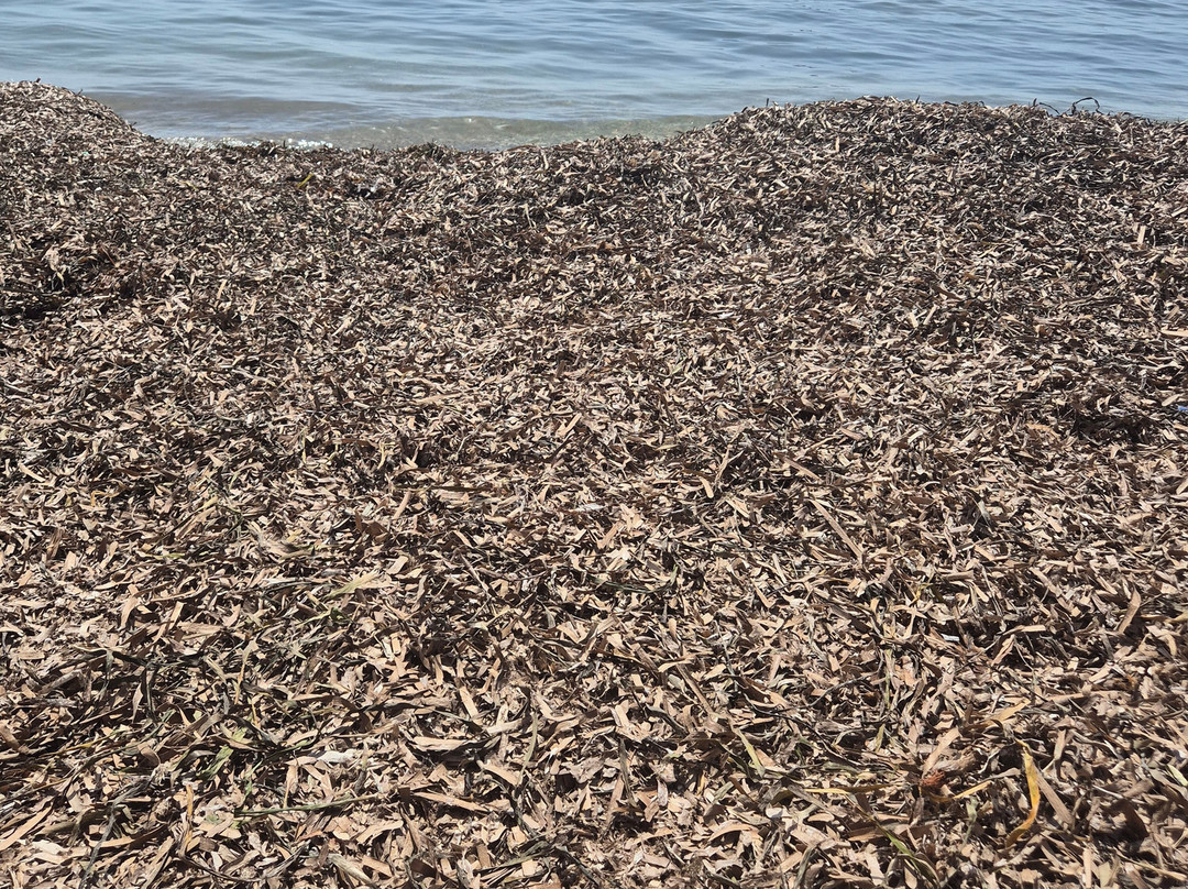 Playa  Mar y Montana-阿尔特阿必去景点