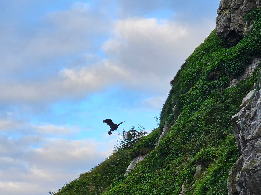 Etive Boat Trips-奥本必去景点