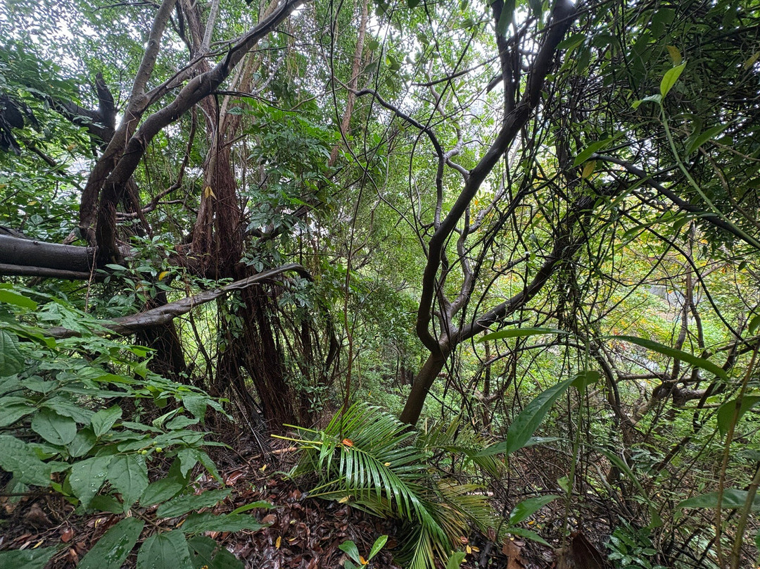 望厦炮台-澳门必去景点