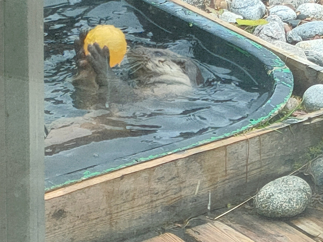 Bergen Aquarium-卑尔根必去景点